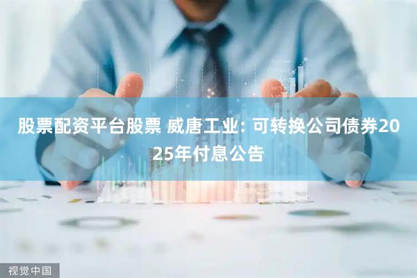 股票配资平台股票 威唐工业: 可转换公司债券2025年付息公告