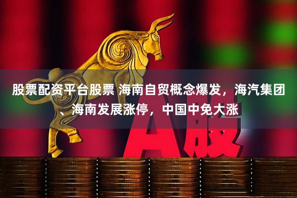 股票配资平台股票 海南自贸概念爆发，海汽集团、海南发展涨停，中国中免大涨