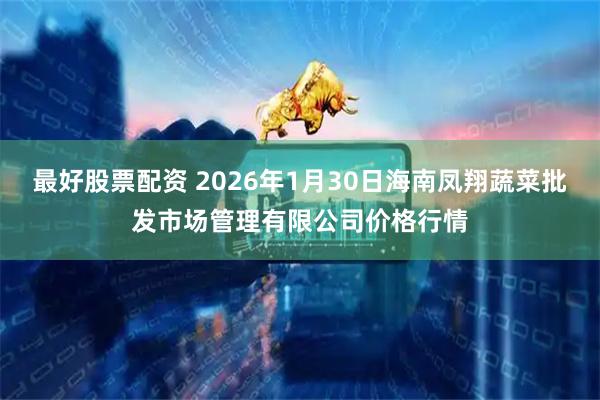 最好股票配资 2026年1月30日海南凤翔蔬菜批发市场管理有限公司价格行情