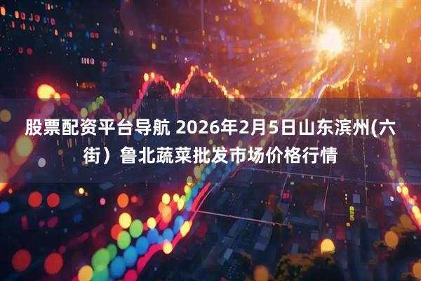 股票配资平台导航 2026年2月5日山东滨州(六街）鲁北蔬菜批发市场价格行情